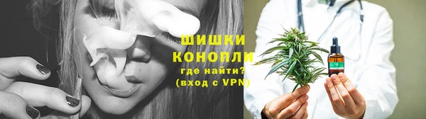 крисы Каменногорск