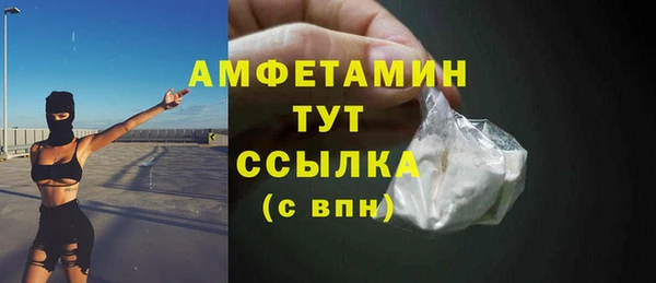 крисы Каменногорск