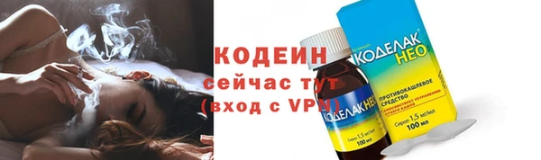крисы Каменногорск