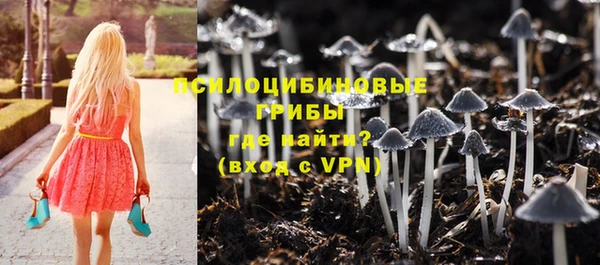 бутират Каменск-Шахтинский