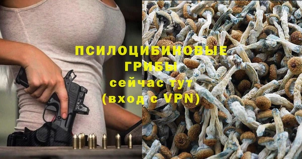 бутират Каменск-Шахтинский