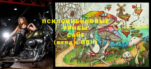 крисы Каменногорск