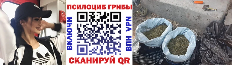 Псилоцибиновые грибы Magic Shrooms  Купить закладки  Реж 